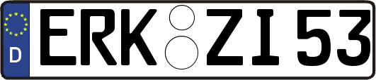 ERK-ZI53