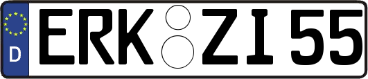ERK-ZI55