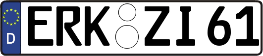 ERK-ZI61