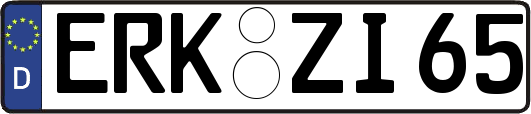 ERK-ZI65