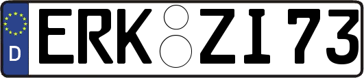 ERK-ZI73
