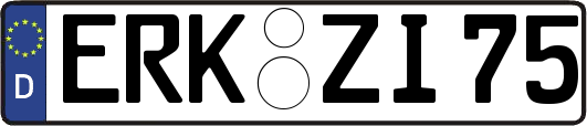 ERK-ZI75