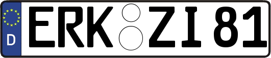 ERK-ZI81