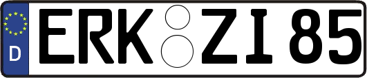 ERK-ZI85
