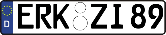 ERK-ZI89