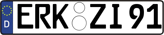 ERK-ZI91