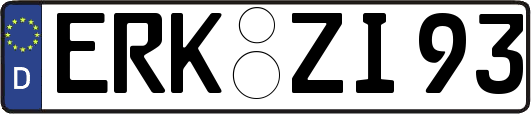 ERK-ZI93
