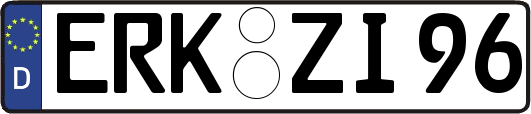 ERK-ZI96