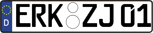 ERK-ZJ01