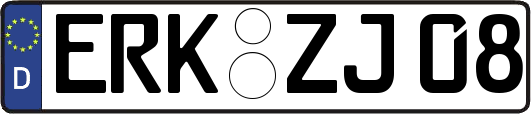 ERK-ZJ08