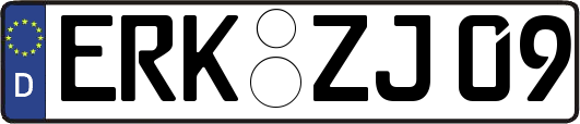 ERK-ZJ09
