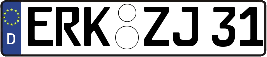ERK-ZJ31