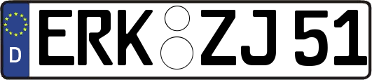 ERK-ZJ51