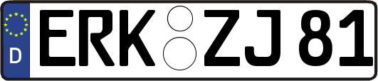 ERK-ZJ81