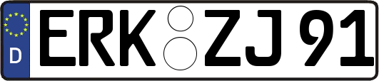 ERK-ZJ91