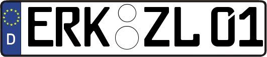 ERK-ZL01