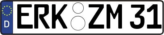 ERK-ZM31