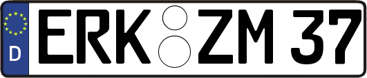 ERK-ZM37