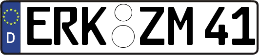 ERK-ZM41