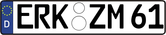 ERK-ZM61