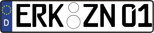 ERK-ZN01
