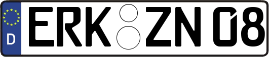 ERK-ZN08