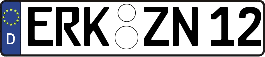 ERK-ZN12
