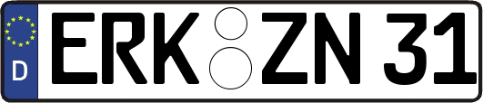 ERK-ZN31