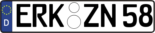 ERK-ZN58