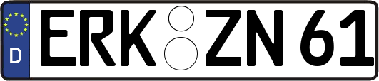 ERK-ZN61