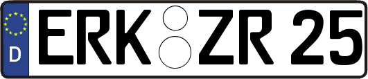 ERK-ZR25