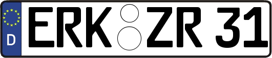 ERK-ZR31
