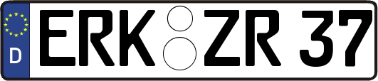 ERK-ZR37