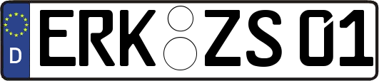 ERK-ZS01