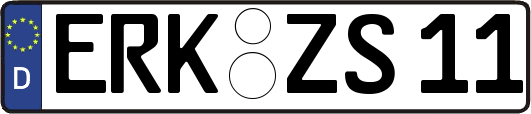 ERK-ZS11