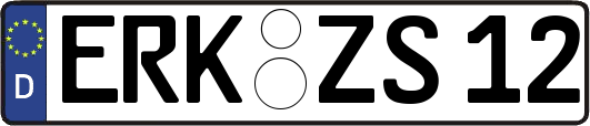 ERK-ZS12