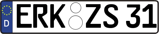 ERK-ZS31