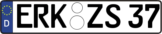 ERK-ZS37