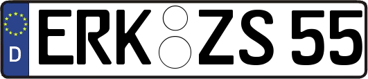 ERK-ZS55