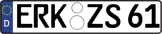ERK-ZS61