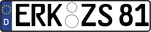 ERK-ZS81