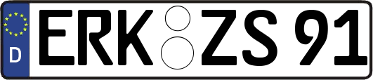ERK-ZS91