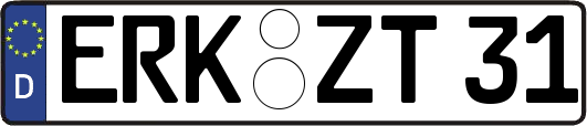 ERK-ZT31