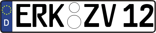 ERK-ZV12