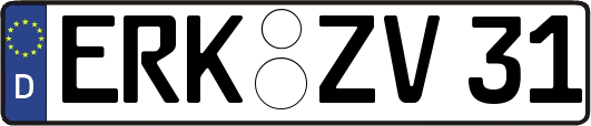 ERK-ZV31