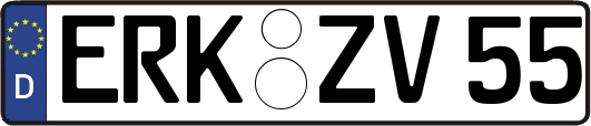 ERK-ZV55