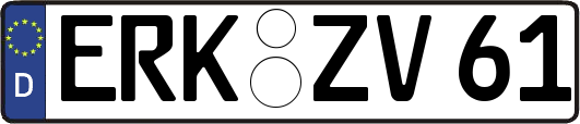 ERK-ZV61