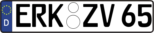 ERK-ZV65