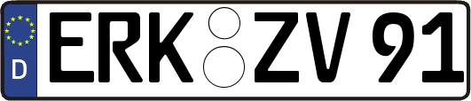ERK-ZV91