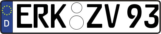 ERK-ZV93